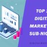 Top 20 Digital Marketing Sub-Niches